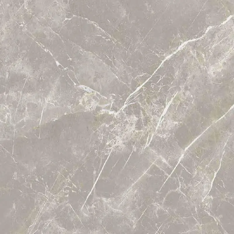 Contemporary Design ELEMENTAL STONE GREY DOLOMIA 60x60 Mate